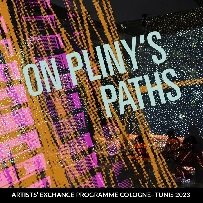 Artists' Exchange Programme Cologne-Tunis – documentation