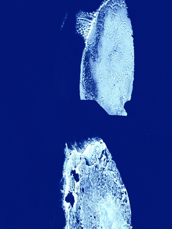 Gudrun Barenbrock – Blaumetall – Bildungszentrum Sprockhoevel